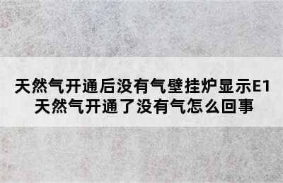 天然气开通后没有气壁挂炉显示E1 天然气开通了没有气怎么回事